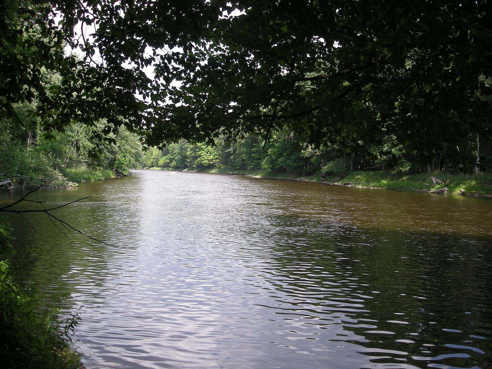 The Muskegon River near the Ferris State campus
